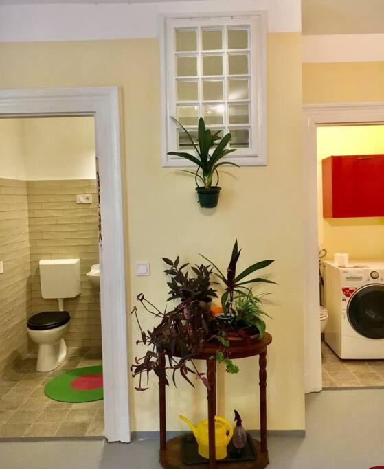 Vintage Studio Apartment, Garden And Free Parking Budapest Exterior photo