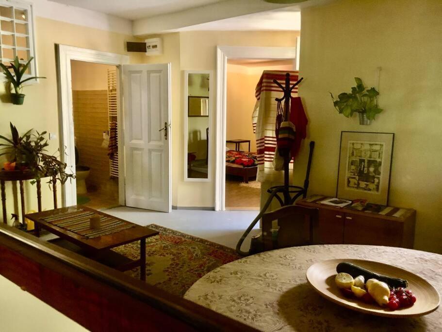 Vintage Studio Apartment, Garden And Free Parking Budapest Exterior photo